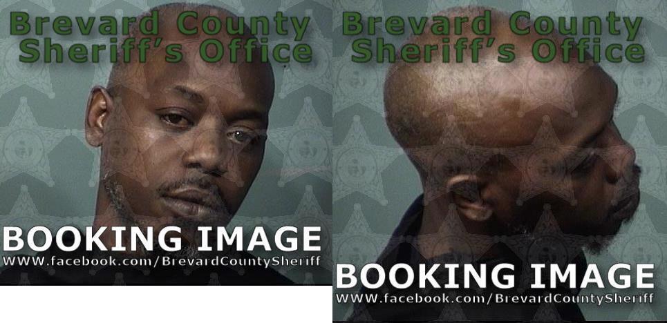 Peterson Kelsey Fernandr Brevard County Mugshots Zone