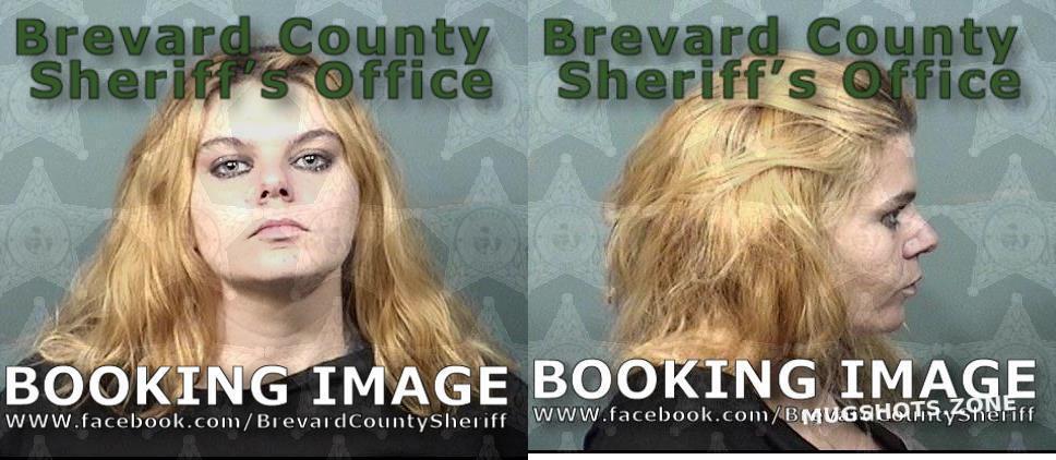 Charles Tiffany Mercedes Brevard County Mugshots Zone