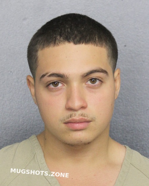 Gonzalez Kalen Ignacio Broward County Mugshots Zone