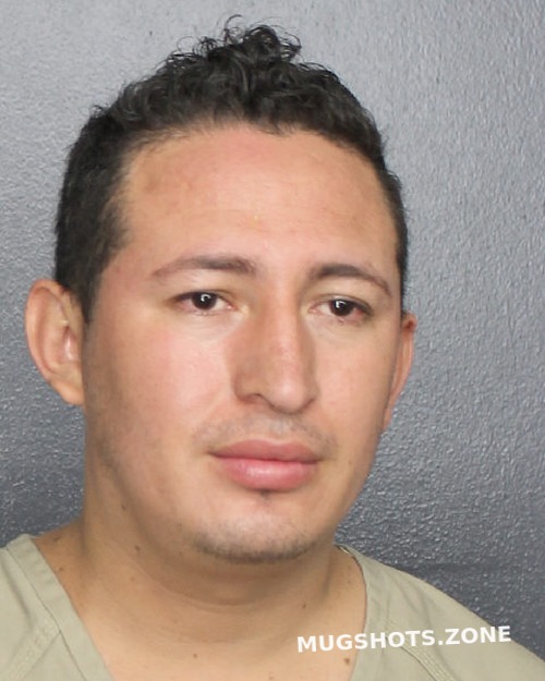 Gonzalez Yobani Broward County Mugshots Zone