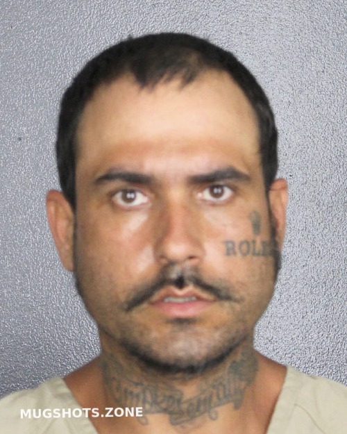 Castellanos David Broward County Mugshots Zone