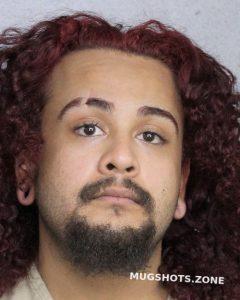 CEDENO EDWIN JOEL 07 04 2021 Broward County Mugshots Zone