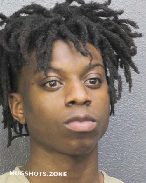 Lowe Christopher Broward County Mugshots Zone