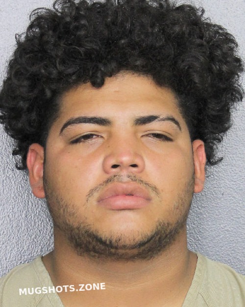 Brizo Christian Broward County Mugshots Zone