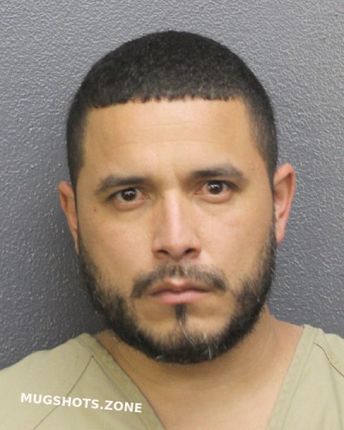 Martinez Diaz Marvin Alexander Broward County Mugshots Zone