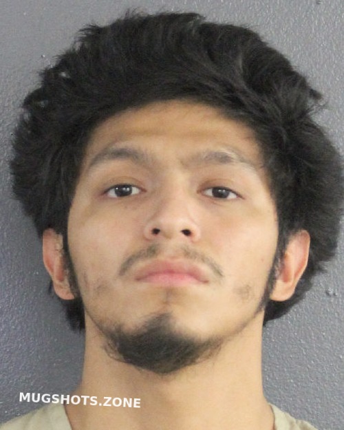 Sanchez Reynaldo Broward County Mugshots Zone