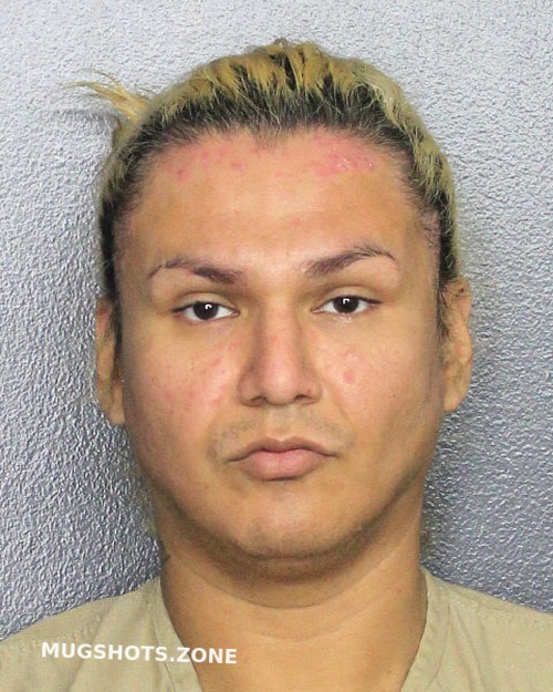 Reyes Roberto Broward County Mugshots Zone