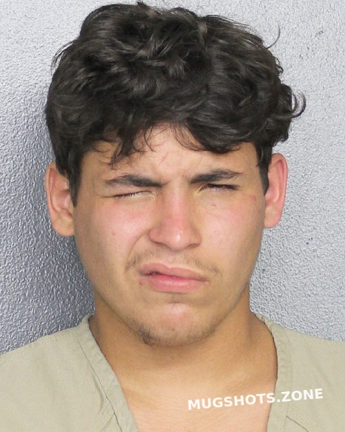 Soltren Echevarria Jonathan Broward County Mugshots Zone