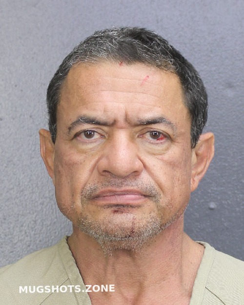 Polanco Domingo Antonio Broward County Mugshots Zone