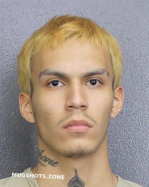 BILLIE CHAYSE BRENDON 04 05 2022 Broward County Mugshots Zone