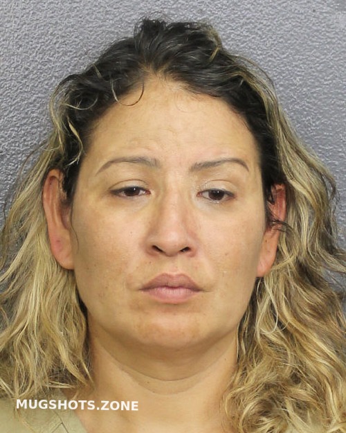 Vilchez Ileana Del Carmen Broward County Mugshots Zone