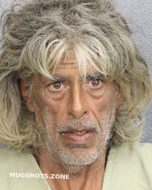 Hoffman Sean Michael Broward County Mugshots Zone