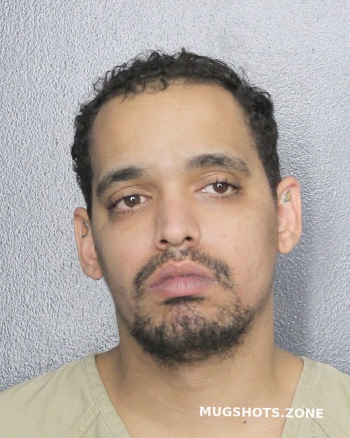 Gonzalez Jovany Broward County Mugshots Zone