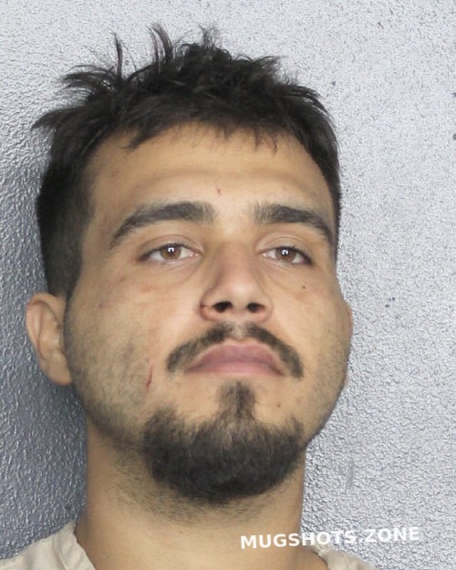 De La Pena Muniz Anthony Broward County Mugshots Zone