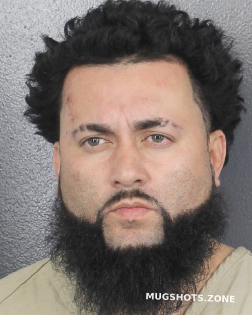 Pelaez Ortiz Daniel Albert Broward County Mugshots Zone