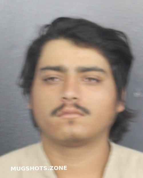 Gonzalez Alejandro Broward County Mugshots Zone