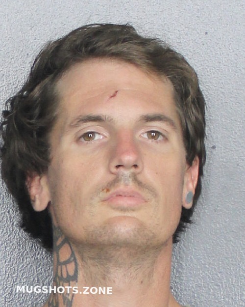 Canales Anthony Michael Broward County Mugshots Zone