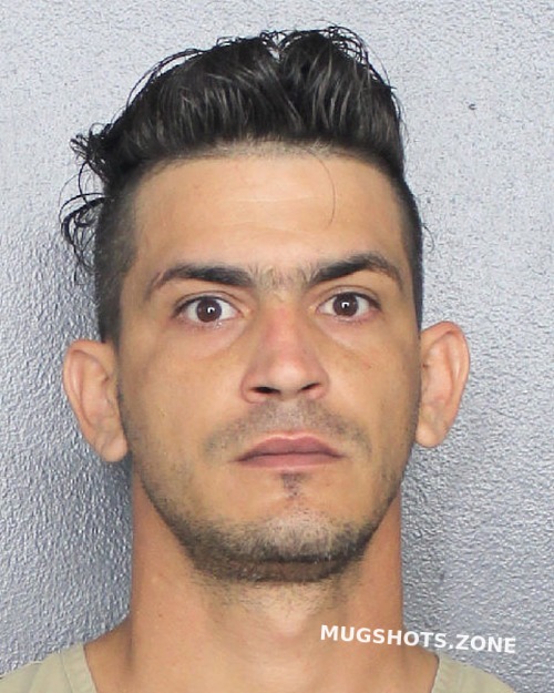 Gonzalez Abreu Yeandry Broward County Mugshots Zone