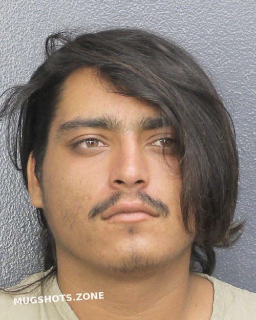 Gonzalez Alejandro Broward County Mugshots Zone