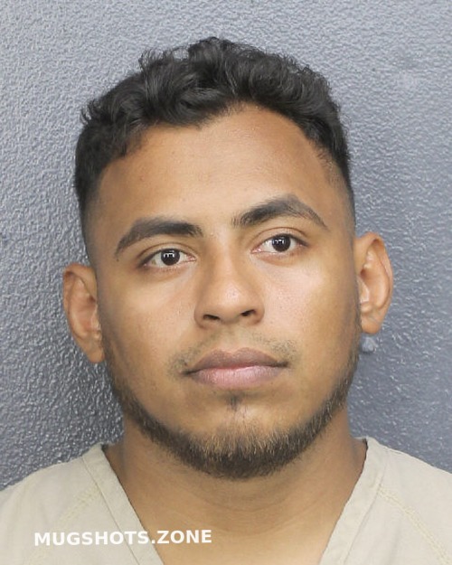 Reyes David Broward County Mugshots Zone