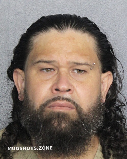 Rodriguez Ricardo R Broward County Mugshots Zone