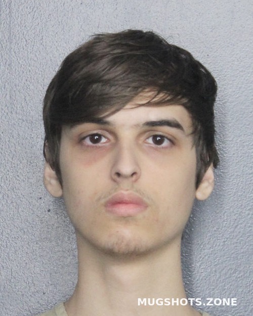 Hidalgo Alex Yohan Broward County Mugshots Zone