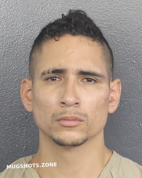 Gomez Rey Alejandro Broward County Mugshots Zone