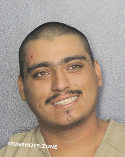 Gonzalez Alejandro Broward County Mugshots Zone