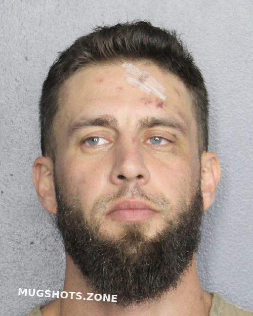 Digiacinto Paul Henry Broward County Mugshots Zone