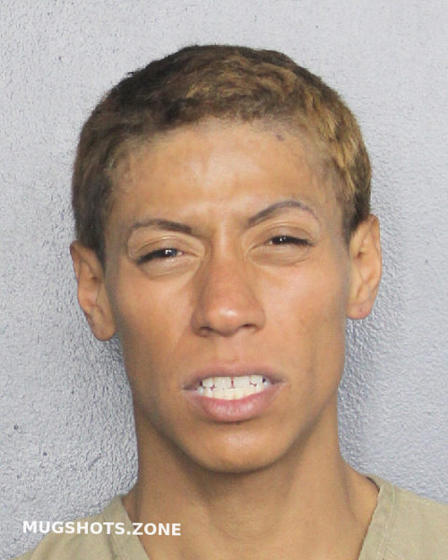 Gutierrez Nathaniel Erik Broward County Mugshots Zone