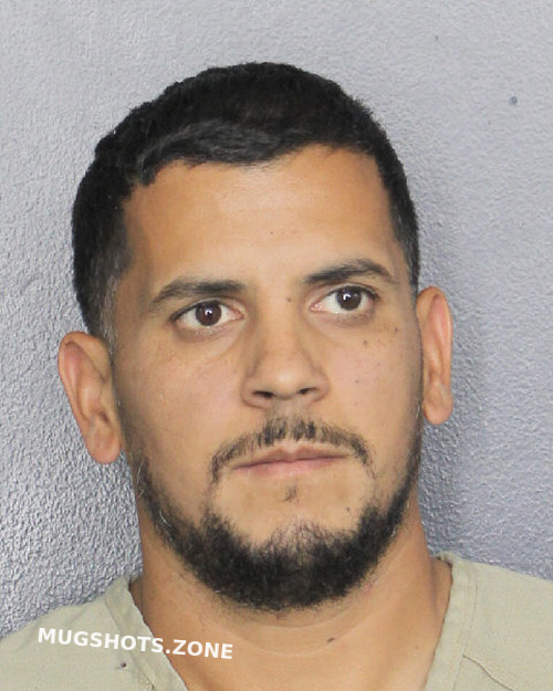 Trandafir Catalin Broward County Mugshots Zone