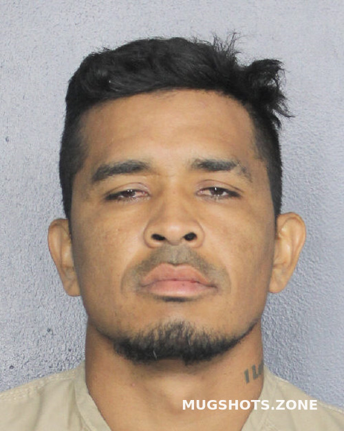 Carvajal Medina Hector Leonardo Broward County Mugshots Zone