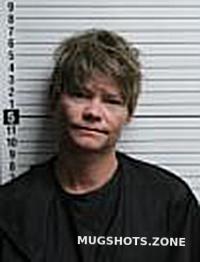 Robertson Erin Louise Brunswick County Mugshots Zone