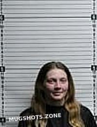 Elkins Brandy Nicole Brunswick County Mugshots Zone