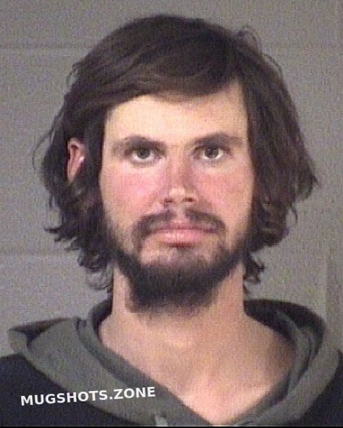 Davis Logan Buncombe County Mugshots Zone