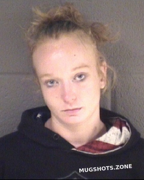 Mintz Ashley Nicole Buncombe County Mugshots Zone