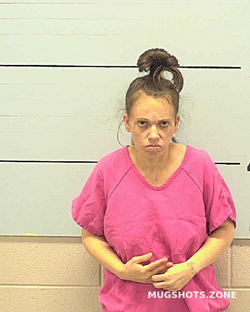 Cannon Ashley Nichole Burke County Mugshots Zone