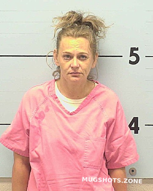 Gladden Linda Nicole Burke County Mugshots Zone