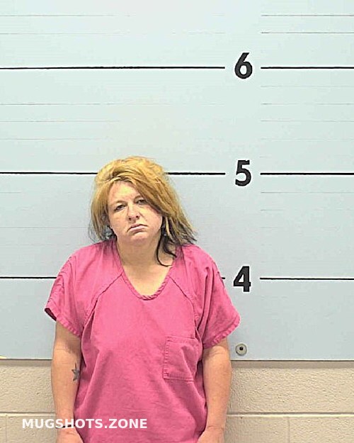 Pringle Kayla Leeann Burke County Mugshots Zone