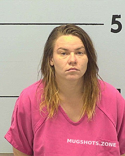 Colvin Danille Nicole Burke County Mugshots Zone