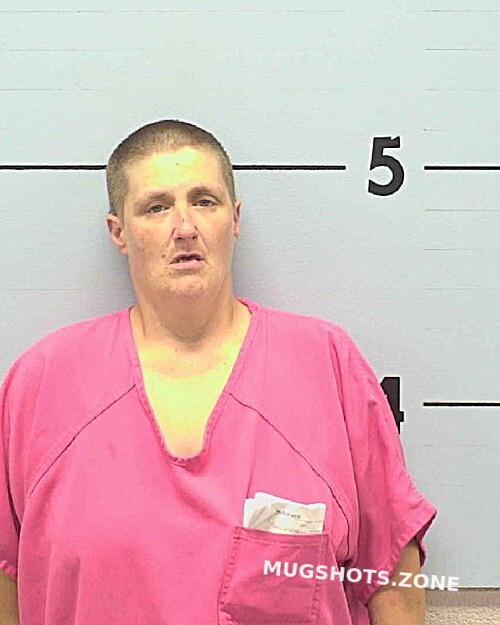 COX LOUISE RENEE 08 15 2023 Burke County Mugshots Zone