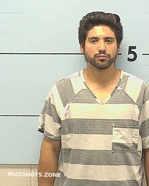 Mendoza Sergio Merlos Burke County Mugshots Zone