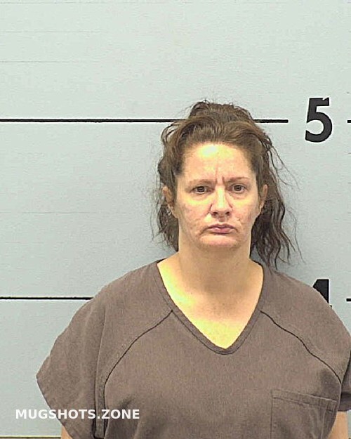 Knighton Shannon Denise Burke County Mugshots Zone