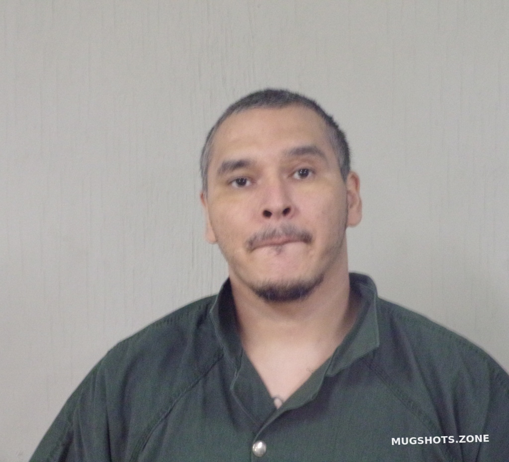 GUEVARA GONZALES LUIS ALFONSO 01 21 2024 Burnet County Mugshots Zone