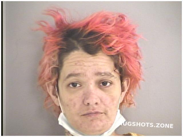 Copley Shelly Dawn Butler County Mugshots Zone