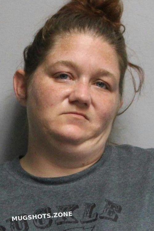 Jenkins Michele Lee Butler County Mugshots Zone