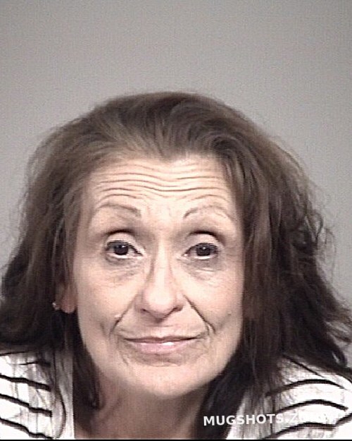 RICHARDS JANICE CAROLE 05 15 2024 Cabarrus County Mugshots Zone