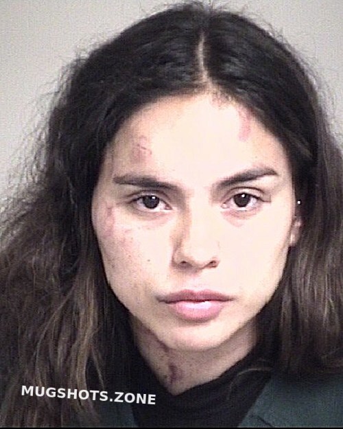 Canales Torres Valeria Alessandra Cabarrus County Mugshots