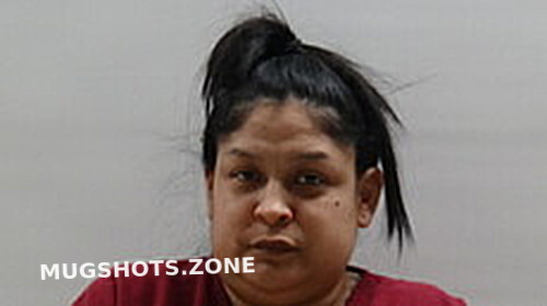 Salazar Jennifer Cameron County Mugshots Zone