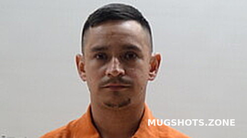 Paulino Luis Arturo Cameron County Mugshots Zone